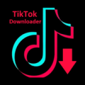 Video Downloader for TikTok Apk