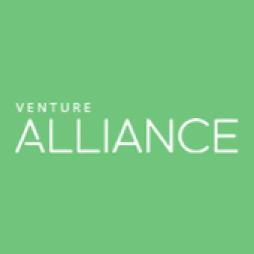 Venture компания