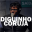 Diguinho Coruja Download on Windows