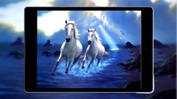 Free Horse Wallpaper Hd APK Screenshot #10