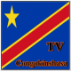 Congokinshasa TV Sat Info APK