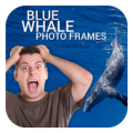 Blue Whale Photo Frames Apk