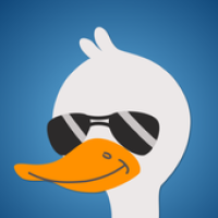 Hey Goose! APK Icon