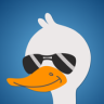 Hey Goose! Application icon