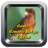 Canto Canario Belga   for PC Windows and Mac