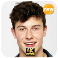 Shawn Mendes Wallpapers 4k HD : Singer Apk