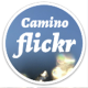 Camino for Muzei APK