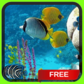 Fish in Water Live Wallpaper Apk