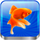 Gold Fish Slot APK