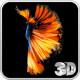 Betta Fish 3D Live Wallpaper APK