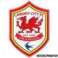 Cardiff Fixed Draws Apk