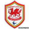 Cardiff Fixed Draws Application icon