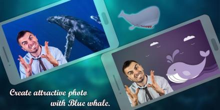 Blue Whale Photo Frames APK Download for Android