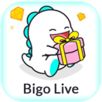 Guide for Bigo Lite in hindi - Live Chat app APK 포스터