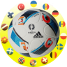 Euro 2016 News and Stickers Application icon