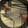 Wild Animals Attack: Free Sniper Shooter Application icon