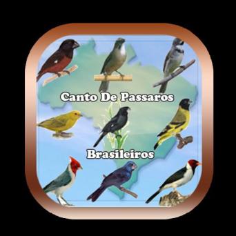 Download Canto De Papa Capim android on PC