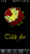 Telde Flor APK Download for Android