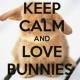 Keep Calm And Bunny ON APK