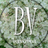 BAVOVOA Application icon