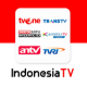 TV Indonesia - Online Saluran TV APK