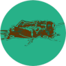 Social Cricket (Unreleased) Game icon