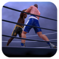 Ultimate Boxing Apk