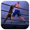 Ultimate Boxing Game icon