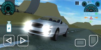 CDS - Car Driving Simulator APK ภาพหน้าจอ #1