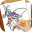 Drawing Lessons Fairies Download on Windows