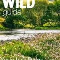 Wild Guide Yorkshire Dales (Unreleased) Apk