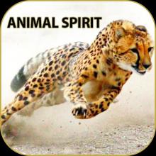 Sprit Animal APK Download for Android