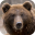 Bear Sounds Download on Windows