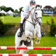 Real Horse Racing : Horse Jumping Master 2019 APK