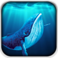 Blue Whale Survival Apk