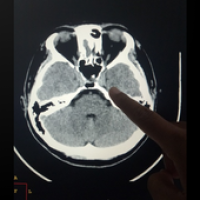 Изображения MSCT Cross Sectional Anatomy на ПК с Windows