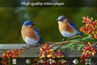 Mx Player APK Download for Android