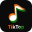 TikTop Download on Windows