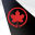 Air Canada Download on Windows