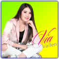 Lagu Via Vallen 2019 Offline + Lirik Apk