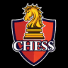 Chess Online ♔™ Game icon