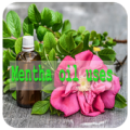 Mentha oil uses Apk