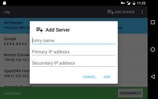 Captura de pantalla de Lilly: DNS Setter APK #7