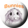 Bunnies Application icon