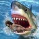 Hungry shark Attack 3D APK