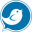 BirdieVPN Download on Windows