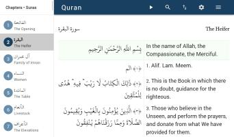 Quran APK 螢幕截圖圖片 #9