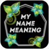 Name Meaning Application icon