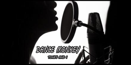 Dance Monkey Song Free - Offline APK Download for Android