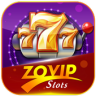 ZoVip Game icon